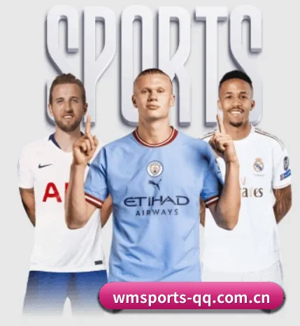 五个功能入口,赛程查询路径更短 - WM SPORTS